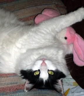 What? I wasn't doin' nuttin'!