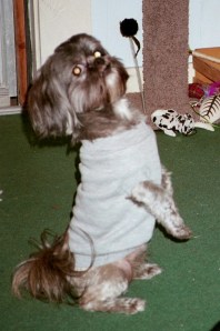 Love me! Please! And get this sweater off me!