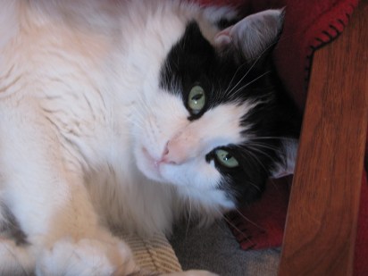 Uh ... nope. I checked. Your name wasn't on it. That means it's mine.