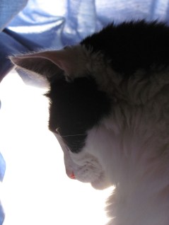 Yes, that's right. I can be dignified. Stop snickering!