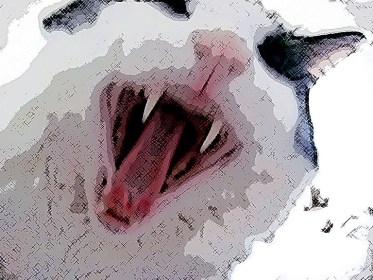 Some days I fear this is the last thing I'll see. Luke can be just a little cranky ...