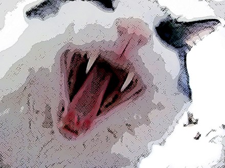 If you mess with my mom, you mess with me!