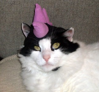 Five seconds later, blood filled the streets.