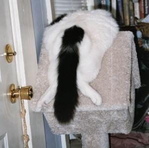 You won't print my letter?? Kiss my fuzzy butt!