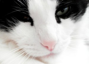 That's quite enough of that. Show yourself out.