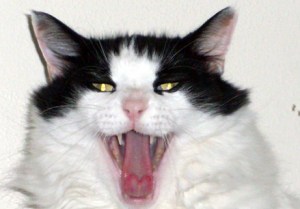 Stop with the musical chairs already!!