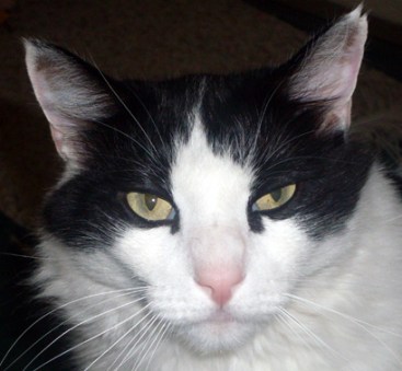 Let me get this straight: You didn't think about double-checking the quote before making jewelry out of it? I ... give up ...