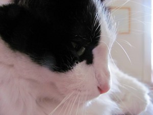 Serious face now ... it's time to edit. And put your pants back on, you weirdo.