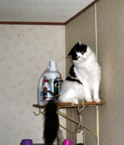 No, I can't figure out why it won't work, either. Now go away.