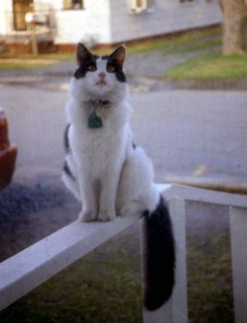 What? Why not talk about me? I'm delightful!