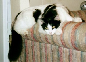 I'd hate to bother you, but ...