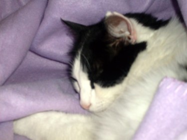 I wish I looked this cute when I'm sleeping.