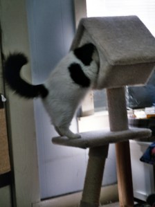 Is my dignity in here?