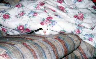 Nope, go away, I feel awful ...