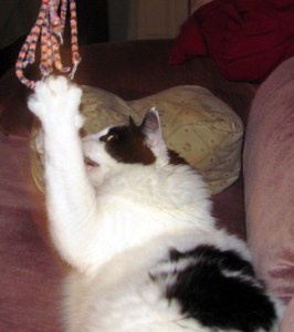 Wind me up and watch me go!