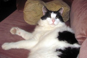 Don't make me break out the bitch slap ...