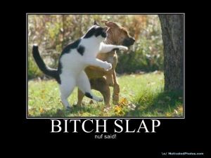 http://pix.motivatedphotos.com/2009/5/5/633771406276058090-bitchslap.jpg
