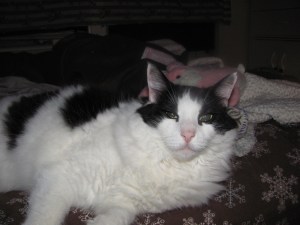 You don't seriously think no blood will be spilled at this appointment, do you?