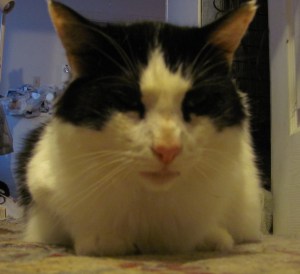 Go away. I'm being pitiful here.