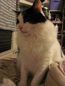 If this cut on my leg scars me permanently, your ass is grass.