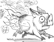 Somebody's porky pants are on fire ... Flaming pork butt courtesy of John Deering, copyright 2013.