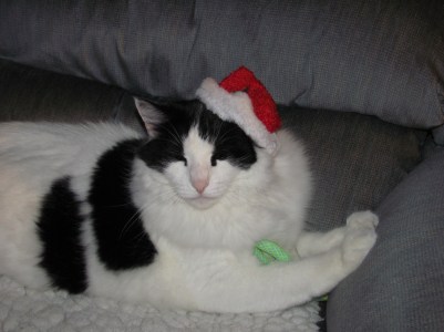 Who the hell is Murray Christmas??