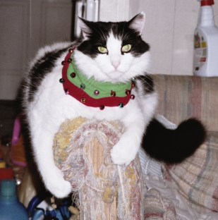 See? I did it ... you happy now? Merry frickin' Christmas!