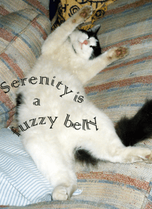 The inspiration for Serenity is a fuzzy belly. Belly rubs available on demand. (His, not yours.)