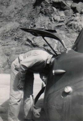 Beware the man-eating trunk, Grandpa!