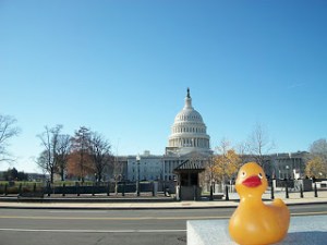 Rubber duckie, you're the one ... Image from Quinnarama.