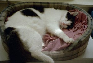 Snxx ... wait, did you just say "Awwwwww?"