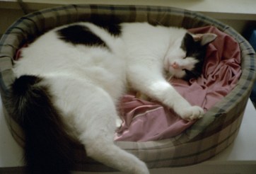 Snxx ... wait, did you just say "Awwwwww?"