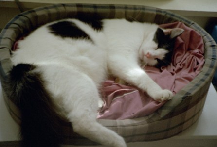 Snxx ... wait, did you just say "Awwwwww?"