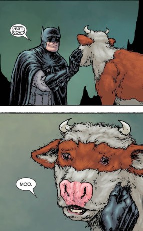 Nothin' like a little quality time with a cow ...