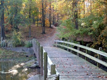 Though the covered bridge in the same area of Burns Park is very picturesque, in fall, the footbridge to its side is even more so.