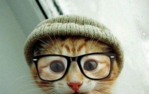 Even Hipster Cat thinks this is a bad idea. Image found on HerCampus.