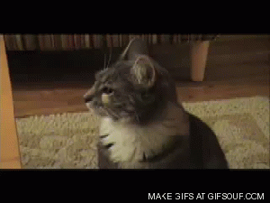 You mean they're NOT the same??!??