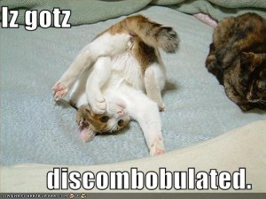 45a301cff6953600f5f091b72ed3ff16