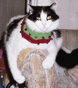 I made you a present ... you'll find it in the litter box.