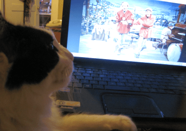 OK, fine, I'll watch White Christmas with you. Just give me more nip, please.