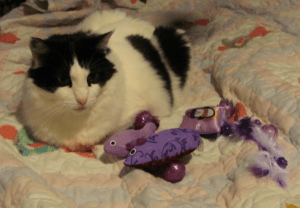 I missed you, Mom. Now play with me!