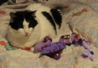 Yep, these are mine. You can look, but you can't play with 'em.