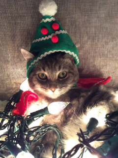 ... and the hook was in the door ... wait, whadya mean scary stories aren't Christmasy?