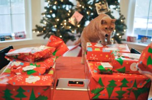 Is this all? I need more gifts!!! Image found on taildom.com.