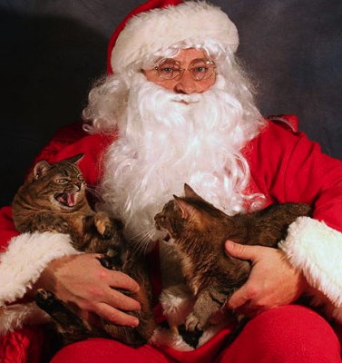 I'll show YOU Santa Claws! (Yes, they're not in costume, but c'mon.) Image found on BuzzFeed.
