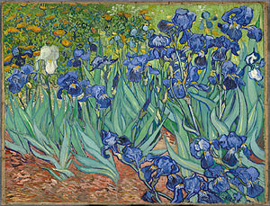 Irises, by Vincent van Gogh.