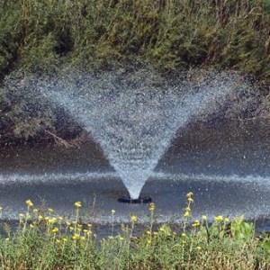 It was kinda like this ... but with orange juice in front of closed refrigerator.