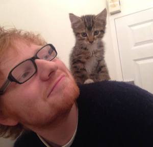 Ed Sheeran and his kitten Graham. Image from Ed Sheeran's Instagram via LoveMeow.