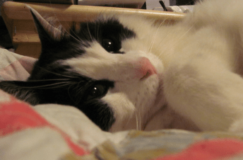 Are you gonna cuddle with me, Mom?