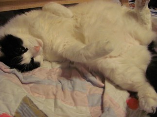 Maybe you can rub my belleh ... but it's gonna cost you!